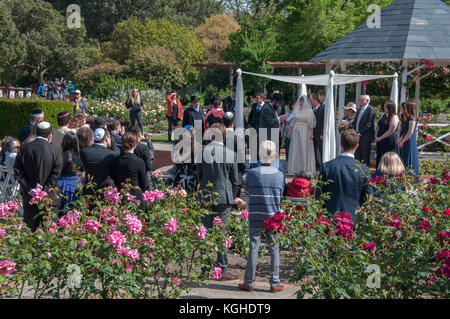 Open-air-jüdische Hochzeit unterwegs in der St. Kilda Botanical Gardens, Melbourne, Australien Stockfoto