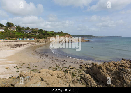 Swanpool Strand und Küste Falmouth Cornwall England Großbritannien zwischen Maenporth und Gyllyngvase Stockfoto