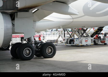 Flughafen Istanbul Atatürk, Türkei - 3. AUGUST 2017: Turkish Airlines Stockfoto