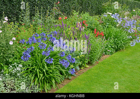 Ein bunter Garten Blume Grenze mit gemischten Bepflanzung einschließlich Agapanthus Beurre Stockfoto