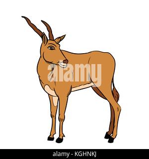 Abbildung: Impala auf weißem Hintergrund - Vector Illustration Stock Vektor