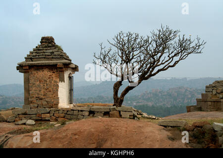 Einsamer Baum auf Hügel vor einem Tempel Stockfoto