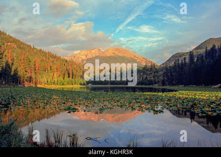 Cub Lake mit Steinen Peak im Hintergrund. Rocky Mountain National Park in Colorado. Stockfoto