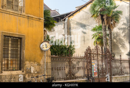 Alte Häuser in Verona mit Metallzaun und Palmen. Stockfoto