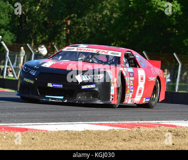 Dario Caso, Ford Mustang, NASCAR Whelen Euro Serie, Elite 2 Klasse, Amerikanische Speedfest V, Brands Hatch, Juni 2017, Automobile, Autosport, Autos, Circ. Stockfoto