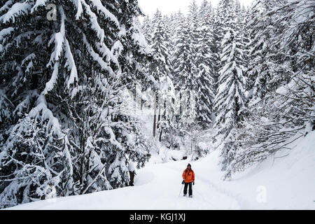 Walker trekking durch Schnee Wald. Les Arcs, Savoie. Frankreich Stockfoto