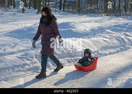 Mutter nimmt Nachwuchs für einen Schlitten im Park: Kadriorg Park, Tallinn, Estland Stockfoto