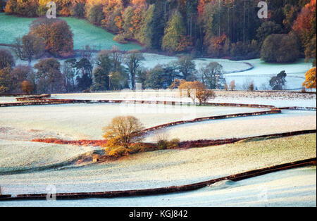 Flintshire, Norden, Großbritannien. 8 Nov, 2017. UK Wetter. Einen kalten frostigen Start für einige heute Nach dem Regen gestern ist ein Tag und Clearing Skies für den Rest des Tages. Eine gefrorene Landschaft mit Farben des Herbstes noch sichtbar in den Bäumen in der Nähe des Dorfes Rhosesmor, Flintshire Credit: DGDImages/Alamy leben Nachrichten Stockfoto