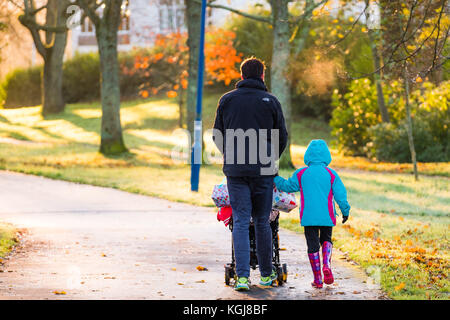 Aberystwyth Wales Großbritannien, Mittwoch 08 November 2017 Großbritannien Wetter: Menschen, die an einem hellen, sonnigen, aber frostigen Morgen den von Bäumen gesäumten Plascrug Avenue Park in Aberystwyth Wales entlang spazieren Kredit: keith morris/Alamy Live Nachrichten Stockfoto