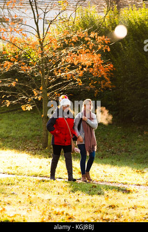 Aberystwyth Wales uk, Mittwoch, 08 November 2017 uk Wetter: Zwei Frauen zu Fuß entlang der von Bäumen gesäumten plascrug Avenue Park in Aberystwyth Wales auf einem hellen sonnigen, aber kalten Morgen Credit: Keith Morris/alamy leben Nachrichten Stockfoto