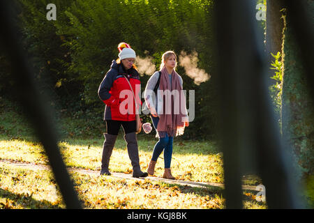 Aberystwyth Wales UK, Mittwoch, 08. November 2017 UK Wetter: Zwei Frauen spazieren entlang des von Bäumen gesäumten Plascrug Avenue Park in Aberystwyth Wales an einem hellen, sonnigen, aber frostigen Morgen Quelle: keith morris/Alamy Live News Stockfoto