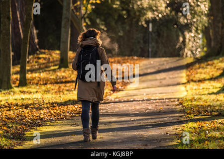 Aberystwyth Wales UK, Mittwoch, 08. November 2017 UK Wetter: Eine Frau, die an einem sonnigen, aber frostigen Morgen entlang des von Bäumen gesäumten Plascrug Avenue Park in Aberystwyth Wales spaziert Quelle: keith morris/Alamy Live News Stockfoto