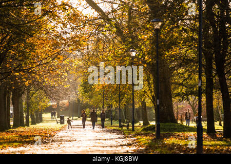 Aberystwyth Wales Großbritannien, Mittwoch 08 November 2017 Großbritannien Wetter: Menschen, die an einem hellen, sonnigen, aber frostigen Morgen den von Bäumen gesäumten Plascrug Avenue Park in Aberystwyth Wales entlang spazieren Kredit: keith morris/Alamy Live Nachrichten Stockfoto