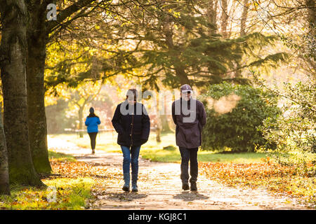 Aberystwyth Wales Großbritannien, Mittwoch 08 November 2017 Großbritannien Wetter: Menschen, die an einem hellen, sonnigen, aber frostigen Morgen den von Bäumen gesäumten Plascrug Avenue Park in Aberystwyth Wales entlang spazieren Kredit: keith morris/Alamy Live Nachrichten Stockfoto