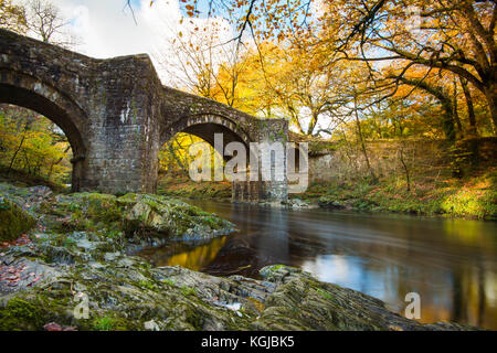 Holne Brücke, Dartmoor, Devon, Großbritannien. 8. November 2017. UK Wetter. Ein herbstlicher Blick auf den Fluss Dart fließt unter Holne Brücke auf Dartmoor in der Nähe von Ashburton in Devon, an einer ruhigen sonnigen Herbsttag. Photo Credit: Graham Jagd-/Alamy leben Nachrichten Stockfoto