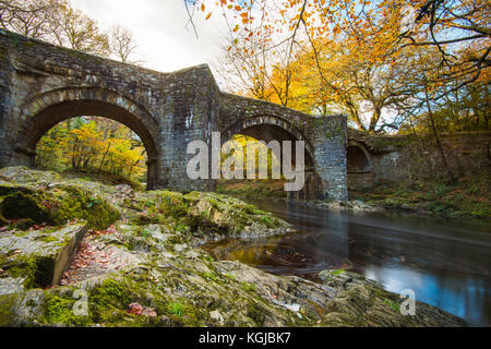 Holne Brücke, Dartmoor, Devon, Großbritannien. 8. November 2017. UK Wetter. Ein herbstlicher Blick auf den Fluss Dart fließt unter Holne Brücke auf Dartmoor in der Nähe von Ashburton in Devon, an einer ruhigen sonnigen Herbsttag. Photo Credit: Graham Jagd-/Alamy leben Nachrichten Stockfoto