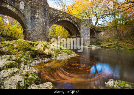 Holne Brücke, Dartmoor, Devon, Großbritannien. 8. November 2017. UK Wetter. Ein herbstlicher Blick auf den Fluss Dart fließt unter Holne Brücke auf Dartmoor in der Nähe von Ashburton in Devon, an einer ruhigen sonnigen Herbsttag. Photo Credit: Graham Jagd-/Alamy leben Nachrichten Stockfoto