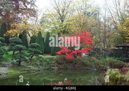 Bonn, Deutschland. 08 Nov, 2017. COP 23 UN-Klimakonferenz in Bonn, Deutschland. Japanische Park im Herbst und eine ruhige Gegend für den Klimawandel Aktivist und die Teilnehmer zwischen den Konferenzen und Aktionen zu ruhen. Der Park befindet sich in günstiger Lage zwischen Bonn und Bula Zone der COP23-Klimakonferenz der Vereinten Nationen in Bonn, Deutschland, 8 Nov, 2017 Credit: Hdh/Alamy Leben Nachrichten entfernt Stockfoto