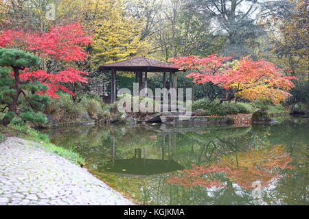 Bonn, Deutschland. 08 Nov, 2017. COP 23 UN-Klimakonferenz in Bonn, Deutschland. Japanische Park im Herbst und eine ruhige Gegend für den Klimawandel Aktivist und die Teilnehmer zwischen den Konferenzen und Aktionen zu ruhen. Der Park befindet sich in günstiger Lage zwischen Bonn und Bula Zone der COP23-Klimakonferenz der Vereinten Nationen in Bonn, Deutschland, 8 Nov, 2017 Credit: Hdh/Alamy Leben Nachrichten entfernt Stockfoto