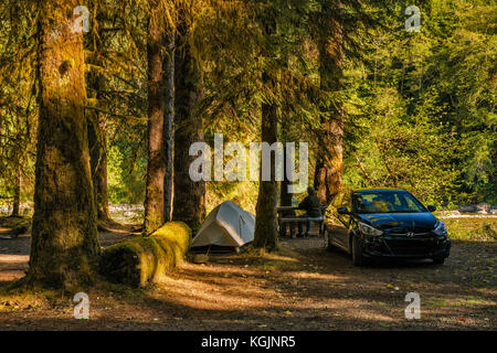 Camping über Queets River, Queets Campground, Olympic National Park, Washington State, USA Stockfoto