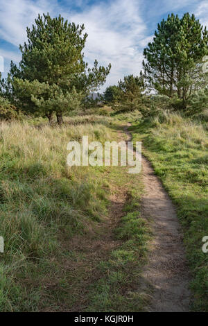 Führender Pfad in die Ferne - Metapher für Karriere, die Tracks, auf dem richtigen Weg bleiben, lange Straße voran Metapher etc. Stockfoto