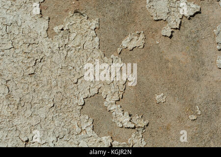 Alte Außenwandfarbe verfällt und risst. Für „bessere Zeiten“. Verwitterte Farbstruktur, alte Farbstruktur, raue Textur, Lackrisse Stockfoto