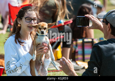 Suwanee, GA, USA - Mai 6, 2017: eine junge Frau hebt ihre Chihuahua bis ein Smartphone Foto bei Woofstock, ein Hund Festival in Suwanee Stadtzentrum zu nehmen Stockfoto