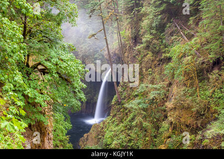 Metlako fällt zusammen Eagle Creek in Columbia River Gorge Oregon Stockfoto