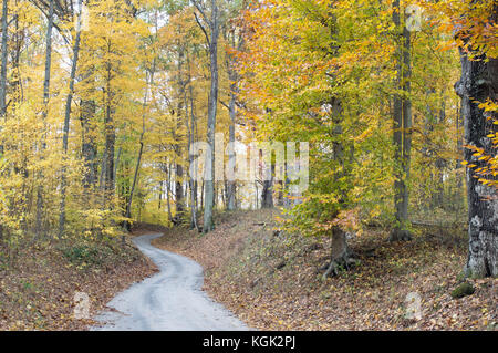 Foto von einem schmalen Weg schlängelt sich durch den Wald mit bunten Herbst Bäume säumen den Weg Stockfoto