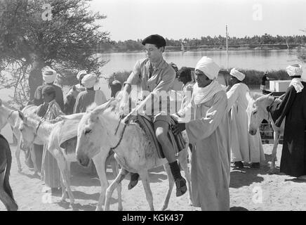 Tod auf dem Nil (1978), Jon Finch Datum: 1978 Stockfoto