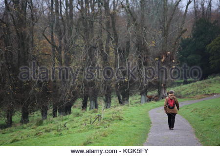 Wandern in der Nähe von Holz in Irland Stockfoto