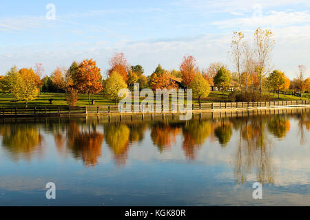 Blätter im Herbst in Michigan reflektiert ein Binnensee im November Stockfoto