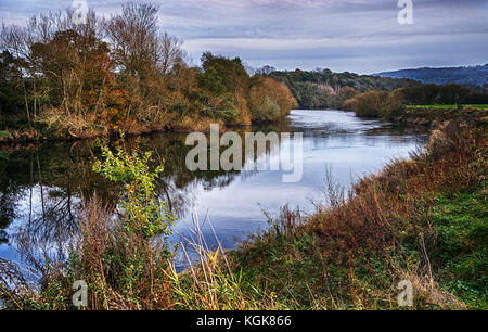 Brobury Narbe ist in der Nähe von monnington und moccas Gerichte in herefrodshire, UK, wo der Fluss durch roten Sandstein geschnitten hat. Stockfoto