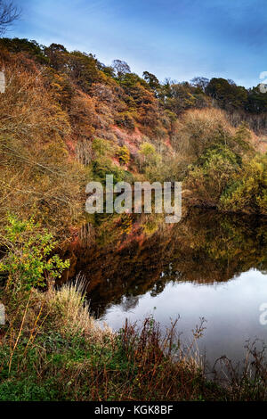 Brobury Narbe ist in der Nähe von monnington und moccas Gerichte in herefrodshire, UK, wo der Fluss durch roten Sandstein geschnitten hat. Stockfoto