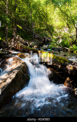 Wasserfall im Nationalpark Aigüestortes (katalanische Pyrenäen) Stockfoto