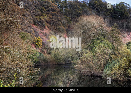 Brobury Narbe ist in der Nähe von monnington und moccas Gerichte in herefrodshire, UK, wo der Fluss durch roten Sandstein geschnitten hat. Stockfoto