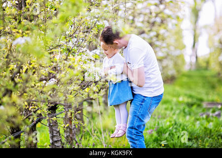 Vater, der seine kleine Tochter in den Händen hält, Mädchen erreichen für Apple tree Blumen, Foto im Obstgarten genommen Stockfoto