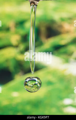 Fällt der vier Jahreszeiten - Sommer. Stockfoto