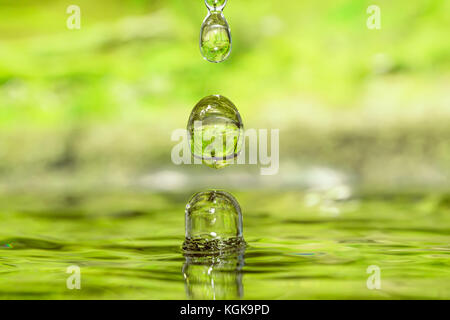 Tropfen vier Jahreszeiten - Frühling. Stockfoto