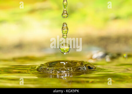 Fällt der vier Jahreszeiten - Sommer. Stockfoto