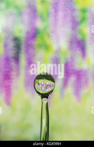 Tropfen vier Jahreszeiten - Frühling. Stockfoto