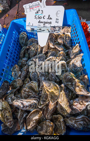 Atlantik Austern zum Verkauf im Markt - Frankreich. Stockfoto