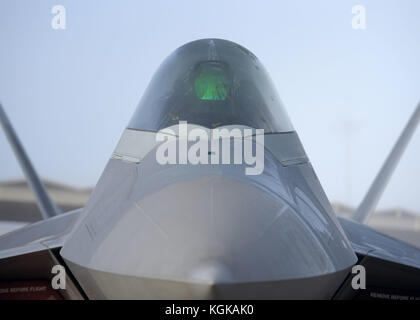 Ein US Air Force F-22 Raptor von der 525th Fighter Squadron, Joint Base Elmendorf-Richardson, Alaska, sitzt auf der Flightline an Tyndall Air Fo geparkt Stockfoto