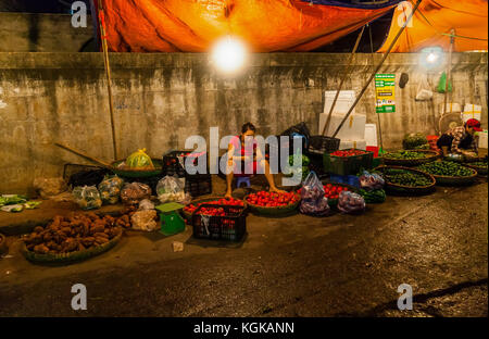 Szene aus dem sehr großen morgen Gemüse und Obst Großmarkt an der Long Bien Brücke im Zentrum von Hanoi, Vietnam. Es beginnt schon lange vor der Morgendämmerung. Stockfoto