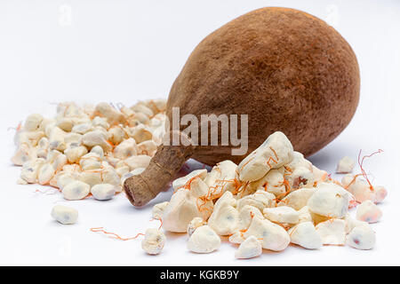 Baobab Obst (Adansonia digitata) auf weißem Hintergrund, Zellstoff und Pulver, superfood Stockfoto