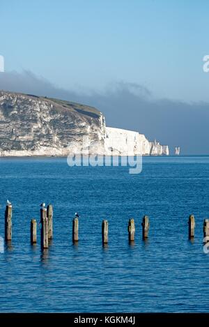 Old Harry Rocks Swanage Bay Dorset England UK Stockfoto