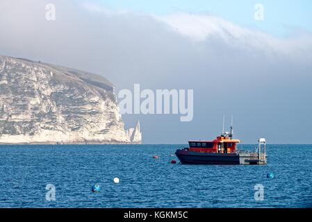 Old Harry Rocks Swanage Bay Dorset Engalnd UK Stockfoto