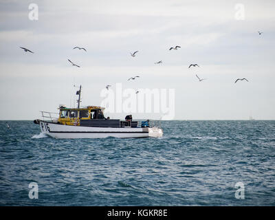 Eine küstenstadt Tag Trawler, gefolgt von Möwen auf See Stockfoto