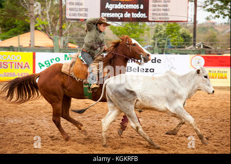 Kuh Frau in Aktion in einem Rodeo, ein beliebter Zeitvertreib in Mato Grosso do Sul, Bonito, Brazi Stockfoto