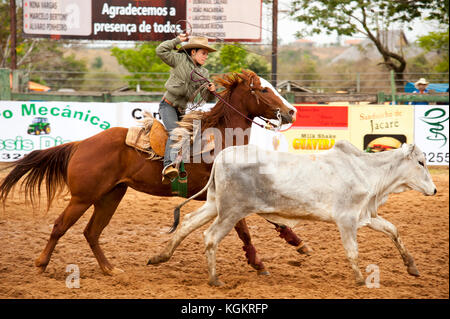 Kuh Frau in Aktion in einem Rodeo, ein beliebter Zeitvertreib in Mato Grosso do Sul, Bonito, Brazi Stockfoto